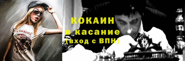 гашик Богородск