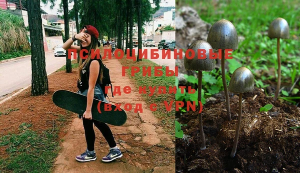 Альфа ПВП Богданович