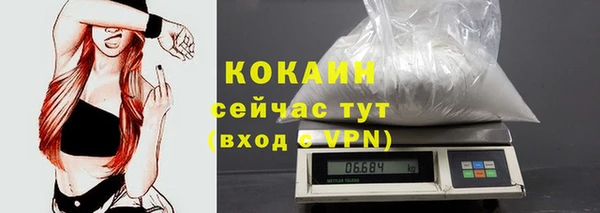 гашик Богородск
