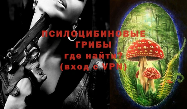 ПСИЛОЦИБИНОВЫЕ ГРИБЫ Бородино