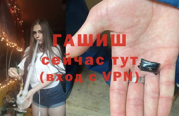 гашик Богородск
