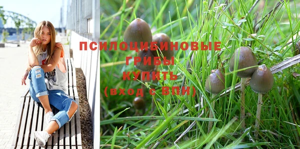 гашик Богородск